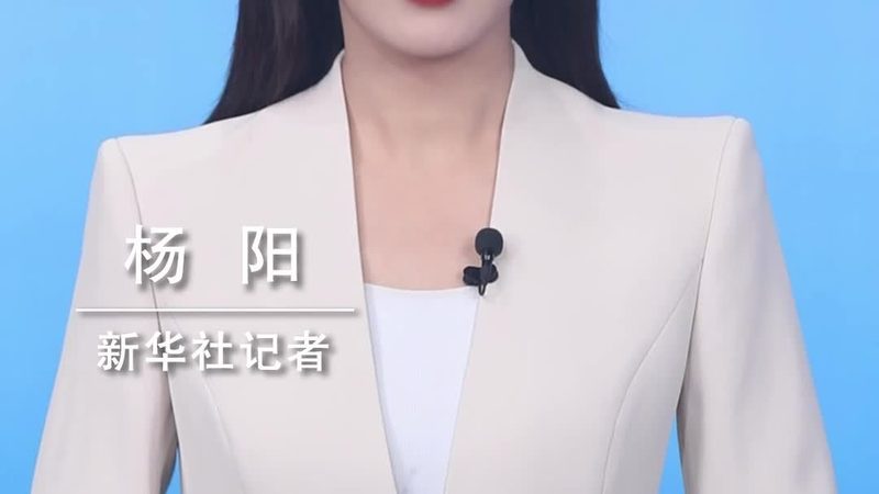 大数据分析行业解决方案：构建智能决策的未来基石